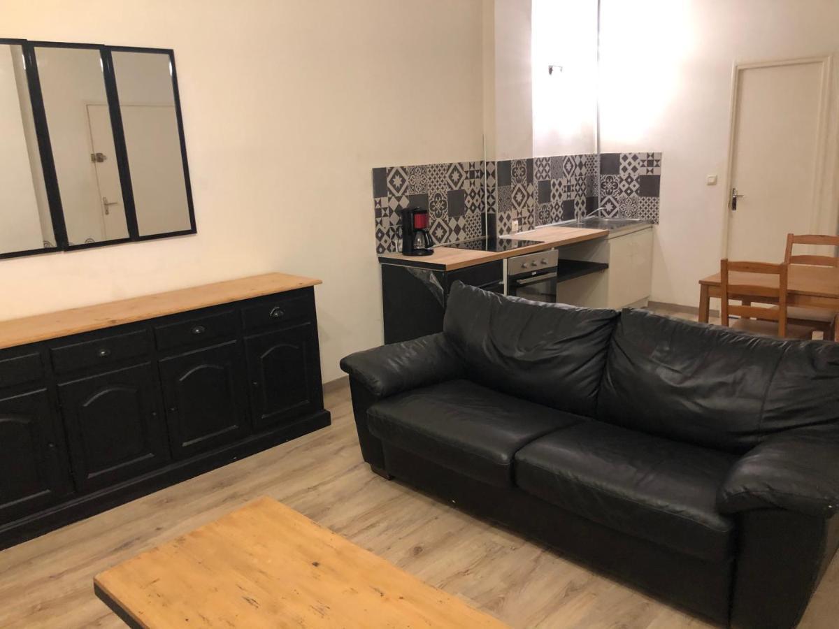 Appartement Et Son Jardin A Lille Fac De Droit Zewnętrze zdjęcie