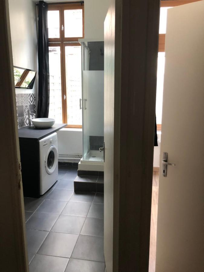 Appartement Et Son Jardin A Lille Fac De Droit Zewnętrze zdjęcie